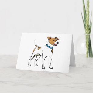 Jack Russell Terrier Kort