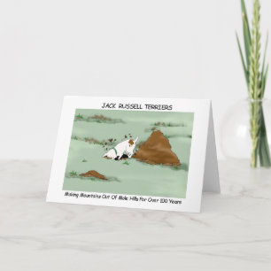 Jack Russell Terrier Kort