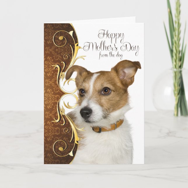 Jack Russell Terrier Mors dag Card Kort (Framsida)