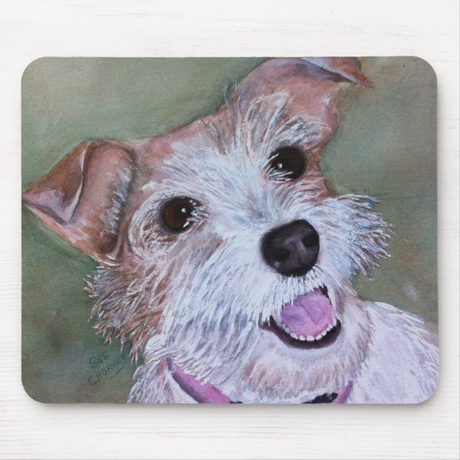JACK RUSSELL TERRIER MUSMATTA (Framsidan)