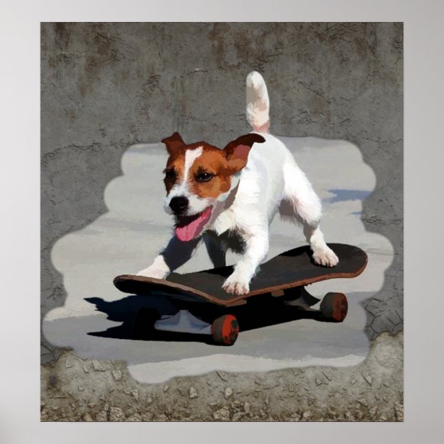 Jack Russell Terrier på Skateboard Poster (Framsidan)
