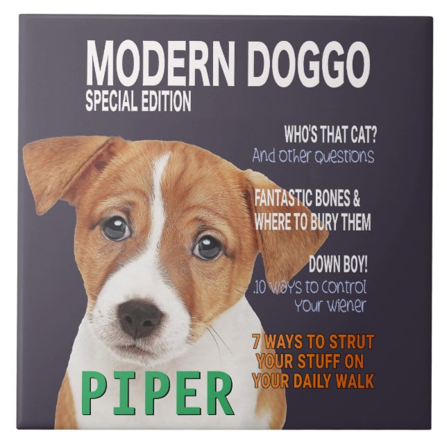 Jack Russell Terrier Parody Magazine Cover Kakelplatta (Framsidan)