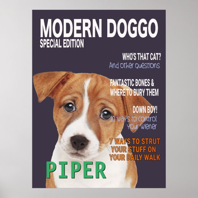 Jack Russell Terrier Parody Magazine Cover Poster (Framsidan)