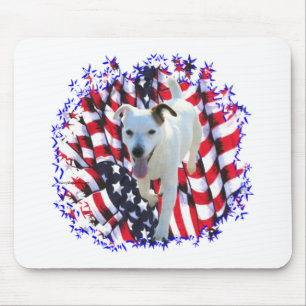 Jack Russell Terrier Patriot Musmatta
