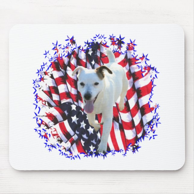 Jack Russell Terrier Patriot Musmatta (Framsidan)