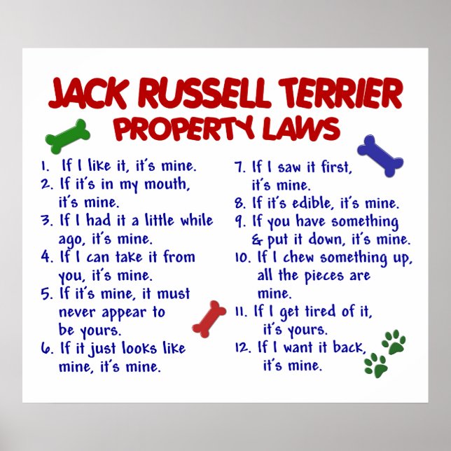 JACK RUSSELL TERRIER PL2 POSTER (Framsidan)