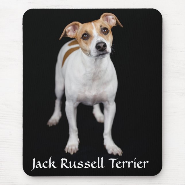 Jack Russell Terrier Porträtt Mousepad Musmatta (Framsidan)
