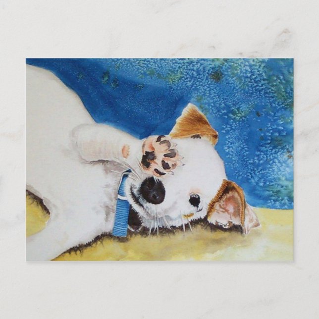 Jack Russell Terrier Postcard Vykort (Framsida)