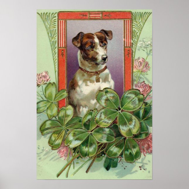Jack Russell Terrier Poster (Framsidan)