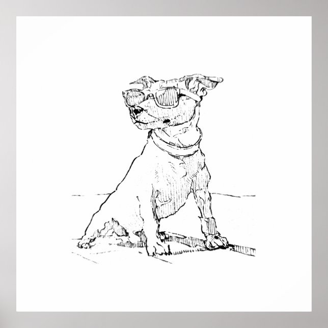 Jack Russell Terrier  Poster (Framsidan)