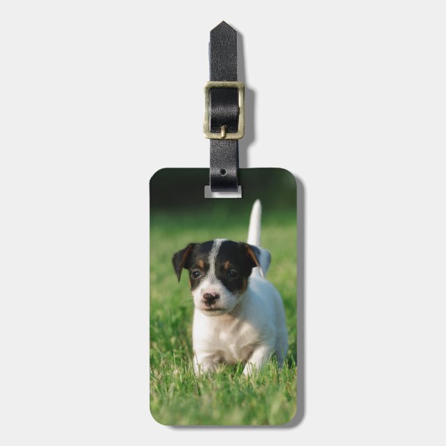Jack Russell Terrier puppy Bagagebricka (Vertikal Framsida)