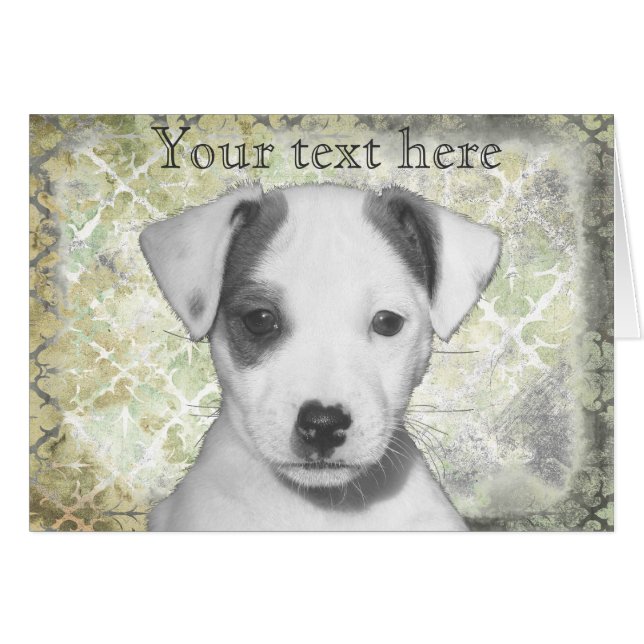 Jack Russell Terrier Puppy Hälsningskort (Framsidan Horizontal)