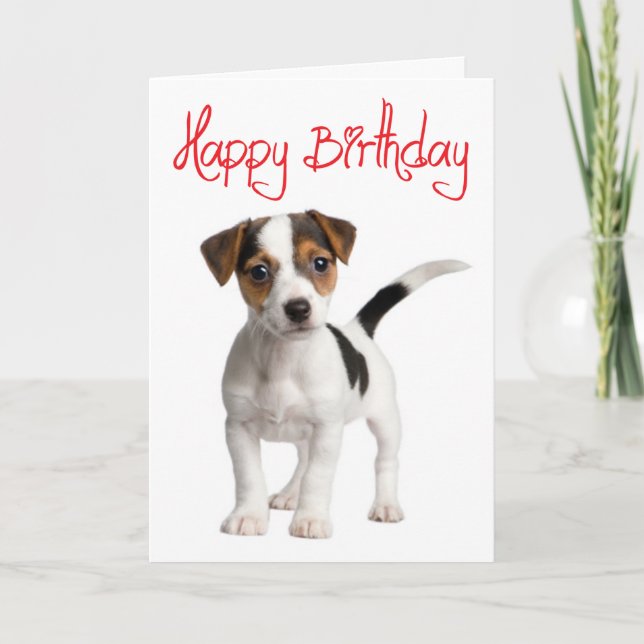 Jack Russell Terrier Puppy Hund Birthday Card Kort (Framsida)