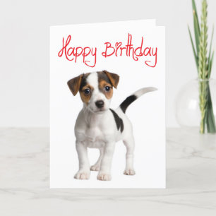 Jack Russell Terrier Puppy Hund Birthday Card Kort