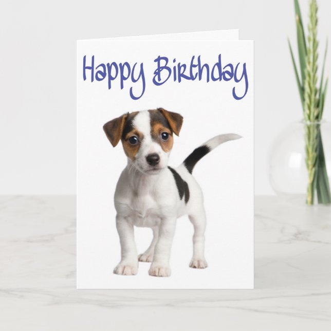 Jack Russell Terrier Puppy Hund Birthday Card Kort (Framsida)
