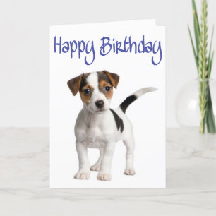 Jack Russell Terrier Puppy Hund Birthday Card Kort