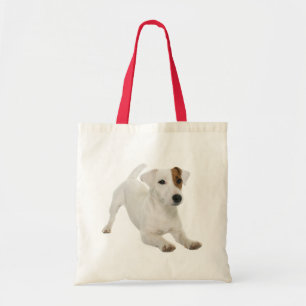 Jack Russell Terrier Puppy Hund Tygkasse