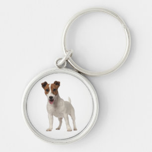 Jack Russell Terrier Puppy Hund White och Brown Rund Silverfärgad Nyckelring