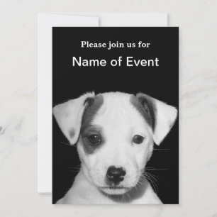 Jack Russell Terrier Puppy Inbjudningar