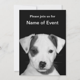 Jack Russell Terrier Puppy Inbjudningar