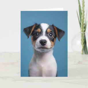 Jack Russell Terrier Puppy Porträtt Inbjudan