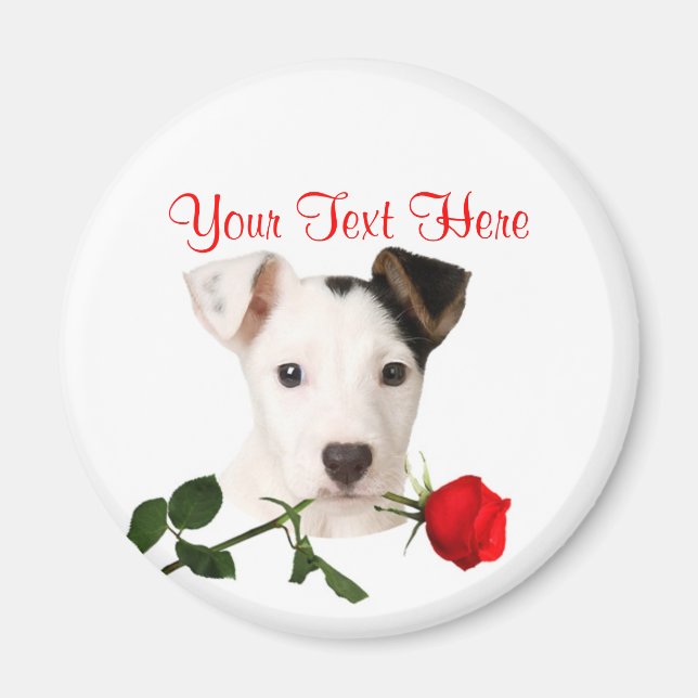 Jack Russell Terrier Röd ros Valentine Design Magnet (Framsidan)