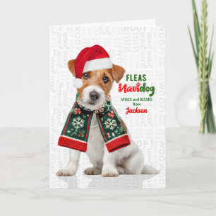 Jack Russell Terrier Roliga Loppisen Navidog med n Helgkort