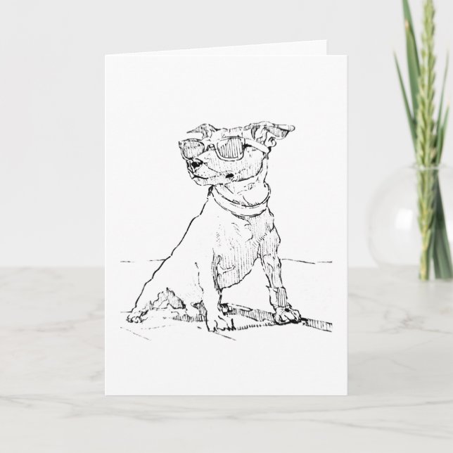 Jack Russell Terrier  Tack Kort (Framsida)