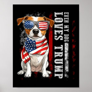Jack Russell Terrier till och med My Hund Kärlek T Poster