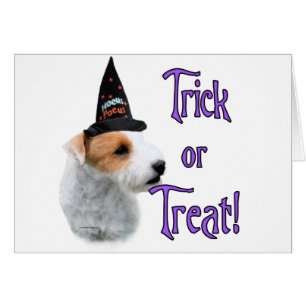 Jack Russell Terrier Trick Hälsningskort