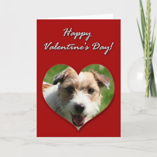 Jack Russell Terrier Valentines day Card Helgkort (Framsida)