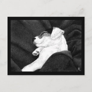 Jack Russell Terrier Valp Postkort - "Lycka" Vykort
