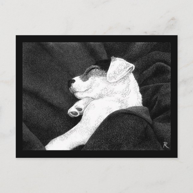 Jack Russell Terrier Valp Postkort - "Lycka" Vykort (Framsida)