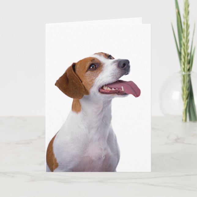 Jack Russell Terrier Vänskap Card Kort (Framsida)