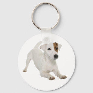 Jack Russell Terrier White och Brown Puppy Hund Nyckelring