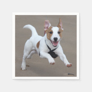 Jack_Russell terrierspring 2.png Pappersservett