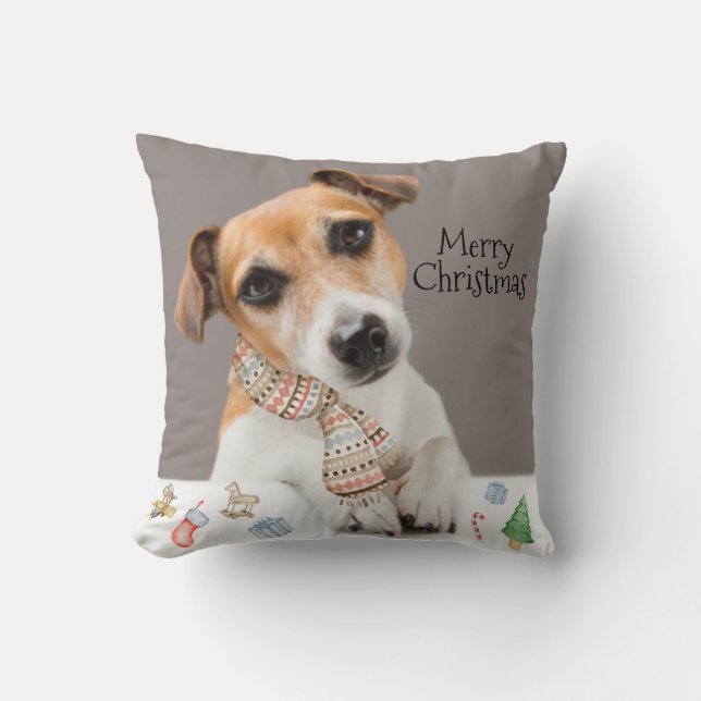 Jack Russell Valp Hund Djur Husdjur Kudde (Framsida)
