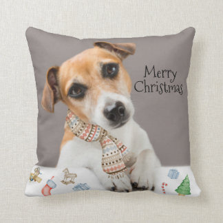 Jack Russell Valp Hund Djur Husdjur Kudde