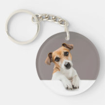 Jack Russell Valp Söt Behaglig Baby Jack