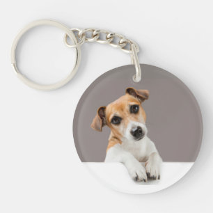 Jack Russell Valp Söt Behaglig Baby Jack