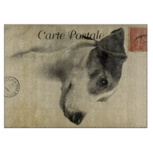 Jack Russell Vintage Postcard