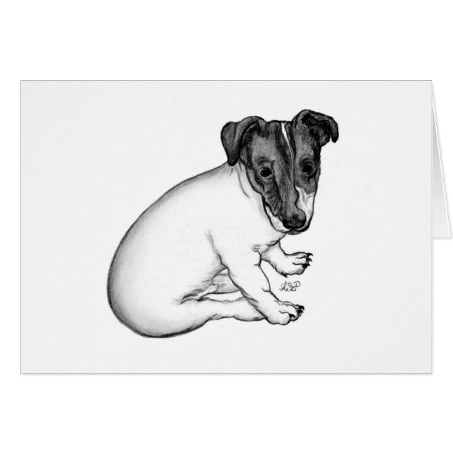 Jack Russell Welpe 10 Wochen alt Hälsningskort (Framsidan Horizontal)