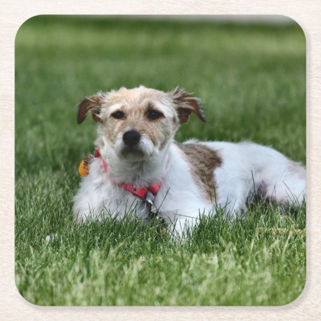 Jack Underlägg Papper Kvadrat (Framsidan)