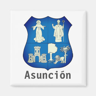 Jacka av Armen Asunción, Paraguay Magnet