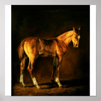 "JACKA AV MÅNGA FÄRG" AV LONNI CLARKE POSTER