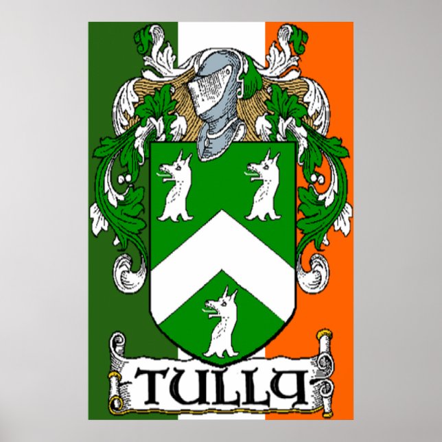 Jacka fullständigt Arm Irish Flagga Print Poster (Framsidan)