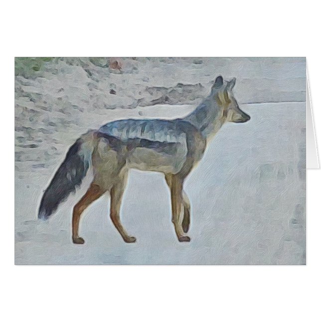 Jackal OBS Kort (Framsidan Horizontal)