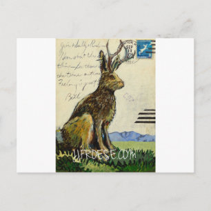 Jackalope #2 av James J. Froese Vykort