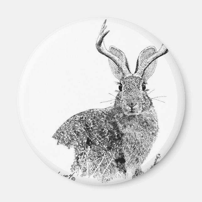 Jackalope Magnet (Framsidan)