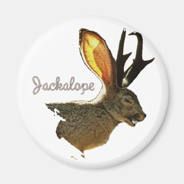 Jackalope Magnet (Framsidan)